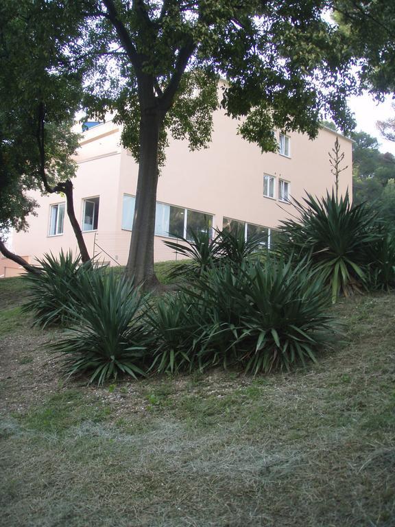 Apartments Vasic Póla Kültér fotó